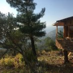 Bungalow-1